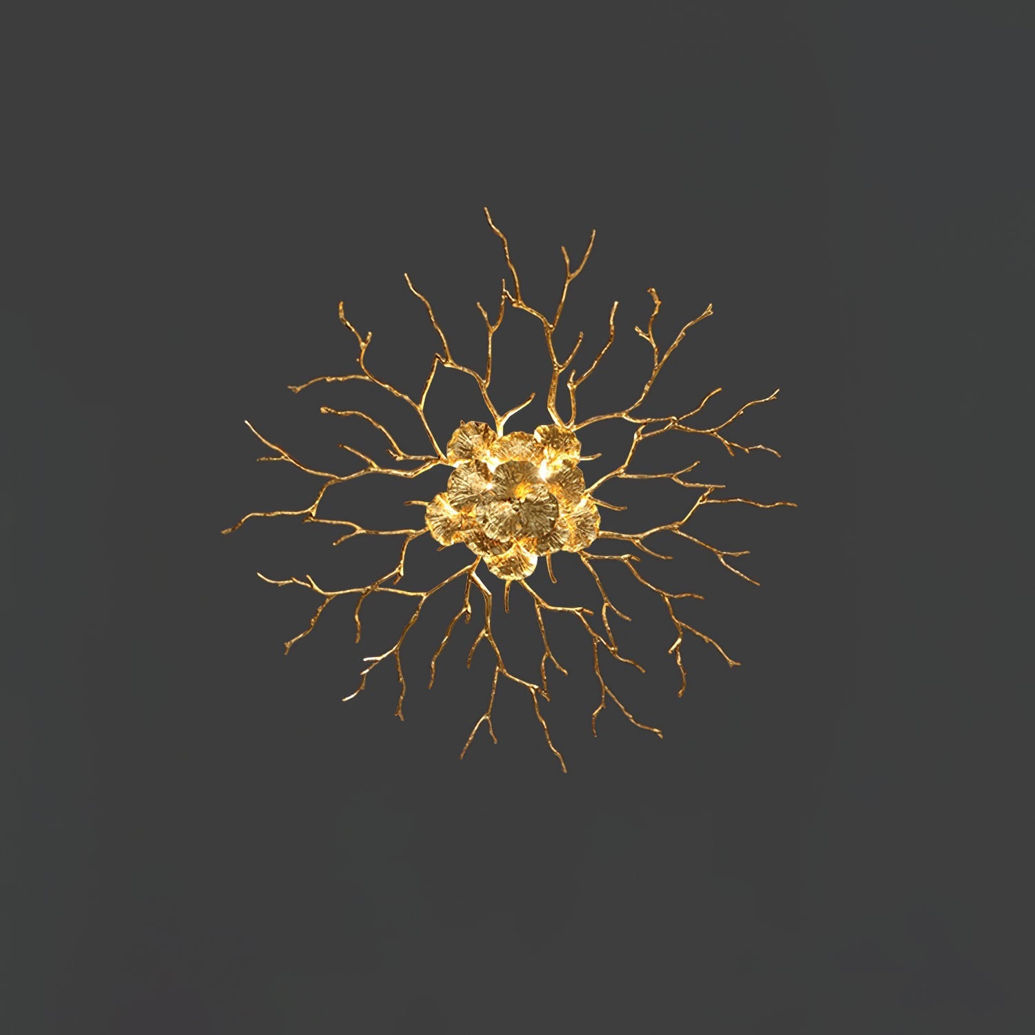 Coral Zoa Eye Wall Lamp - Nuvé