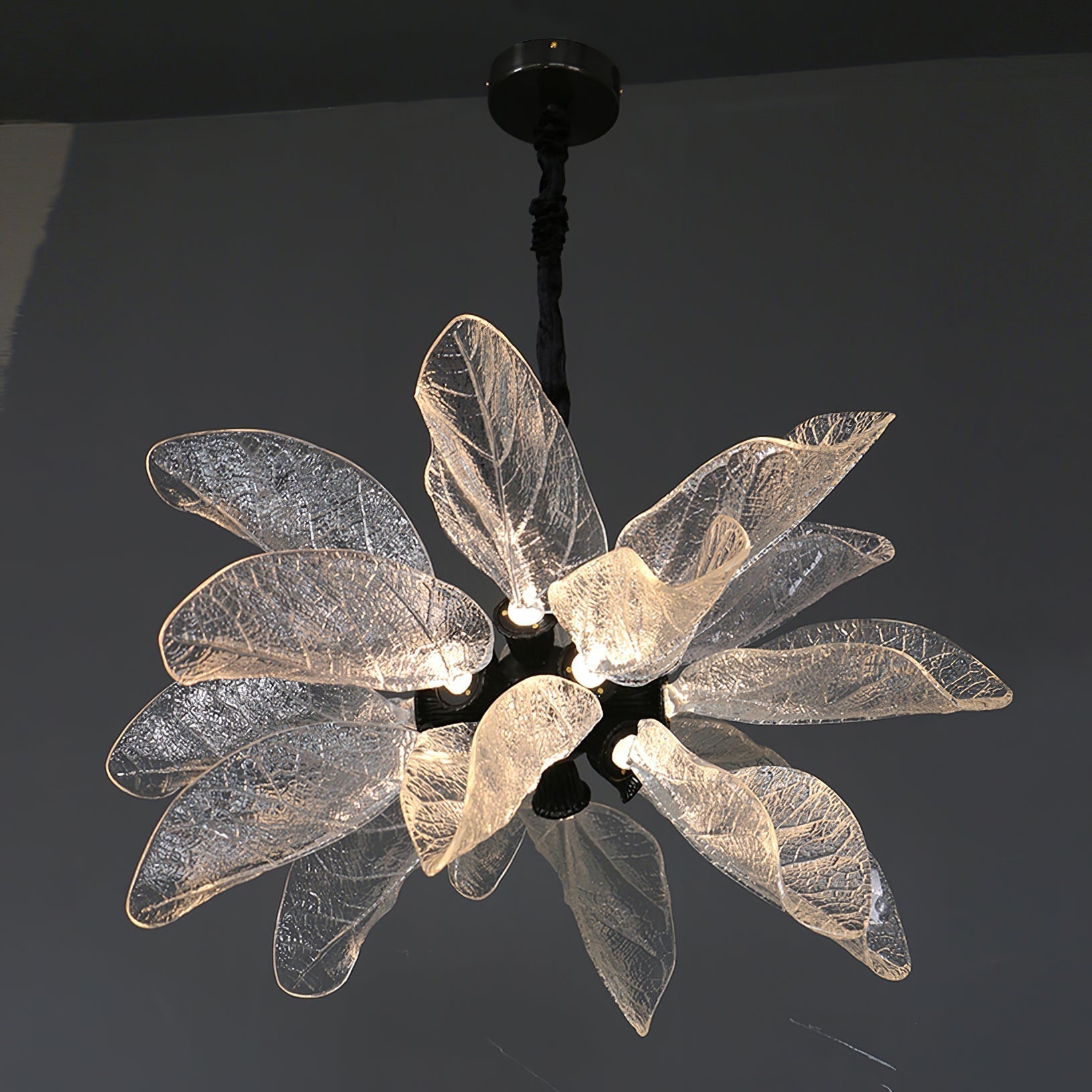 Dandelion Floccus Chandelier - Nuvé