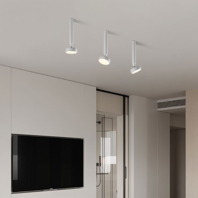 Fionn Ceiling Light - Nuvé