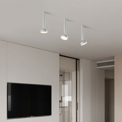 Fionn Ceiling Light - Nuvé