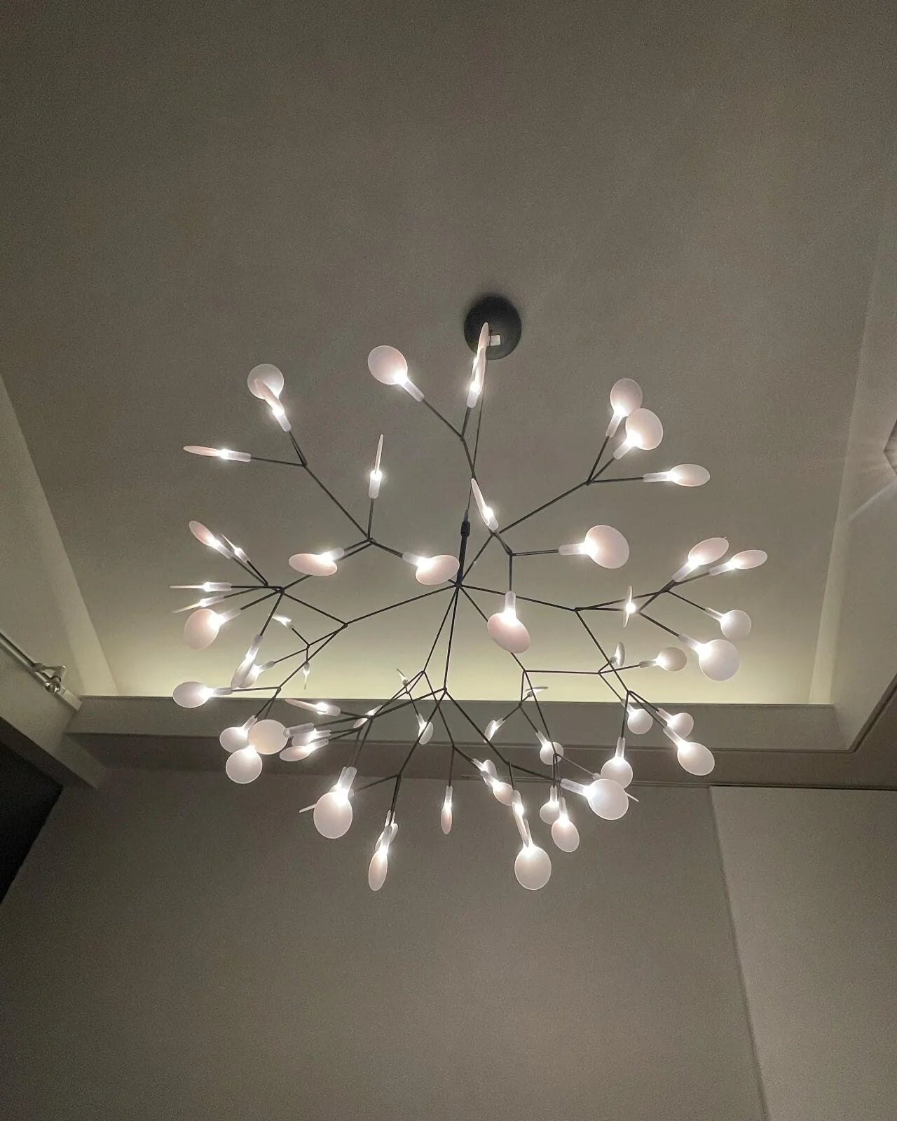 Firefly LED Chandelier - Nuvé