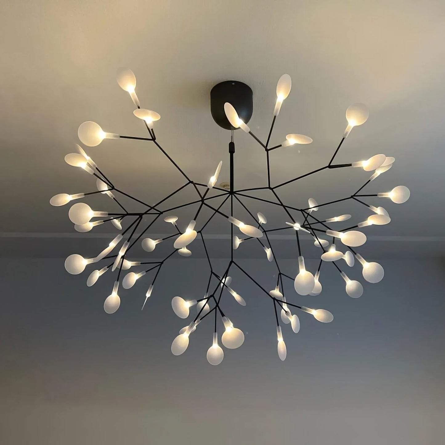 Firefly LED Chandelier - Nuvé