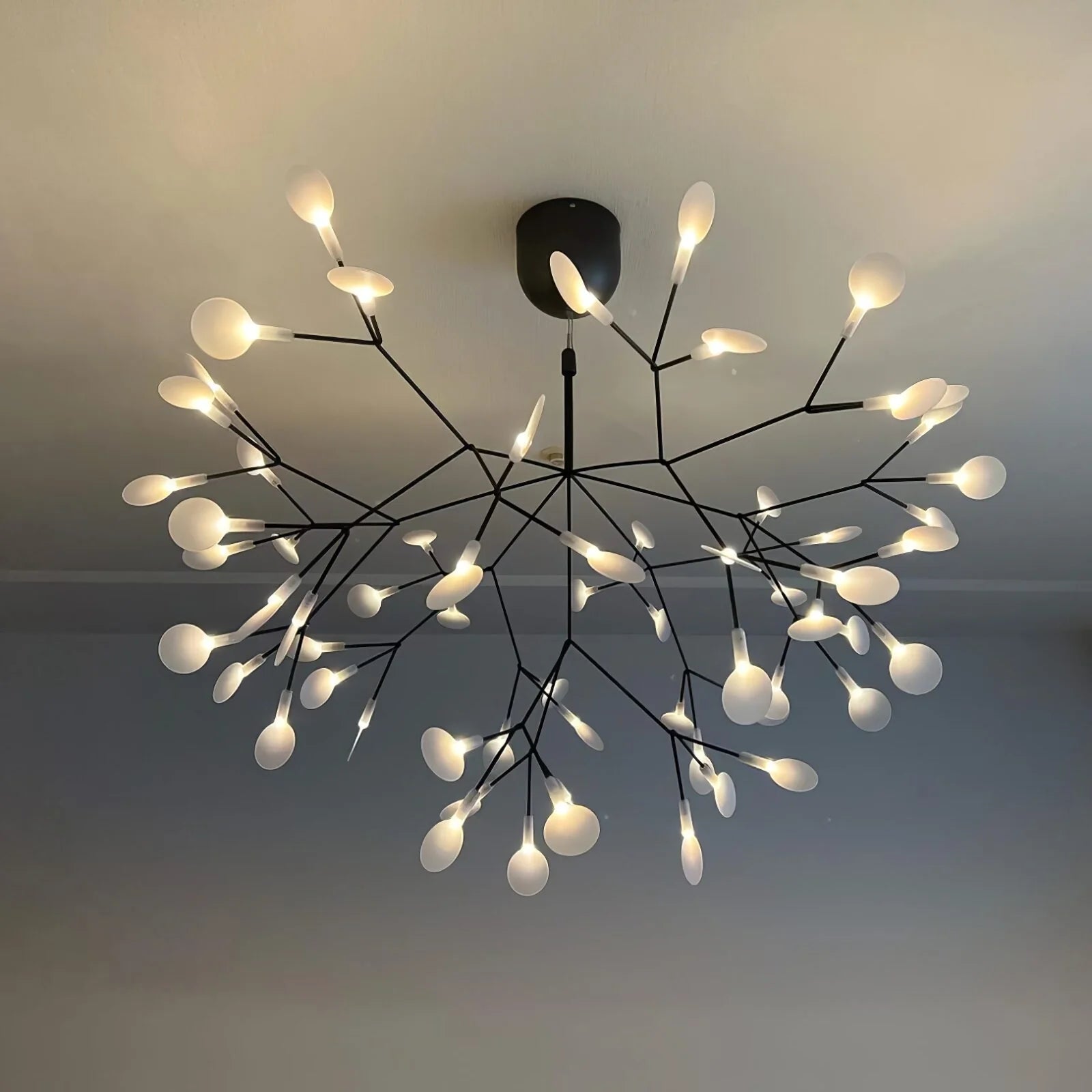 Firefly LED Chandelier - Nuvé