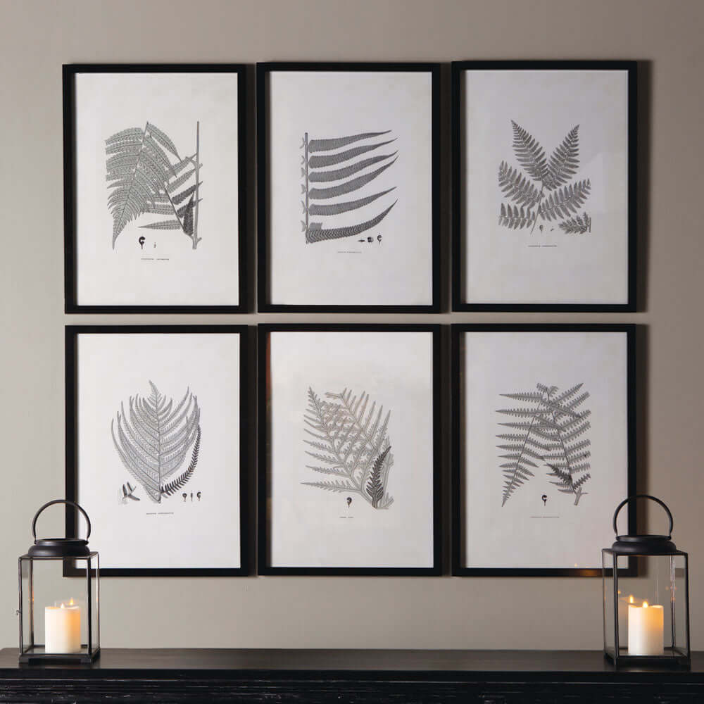 Framed Set of Fern Botanical Prints in Black and White (Set of 6) - Nuvé