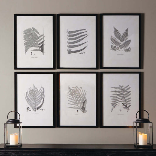 Framed Set of Fern Botanical Prints in Black and White (Set of 6) - Nuvé