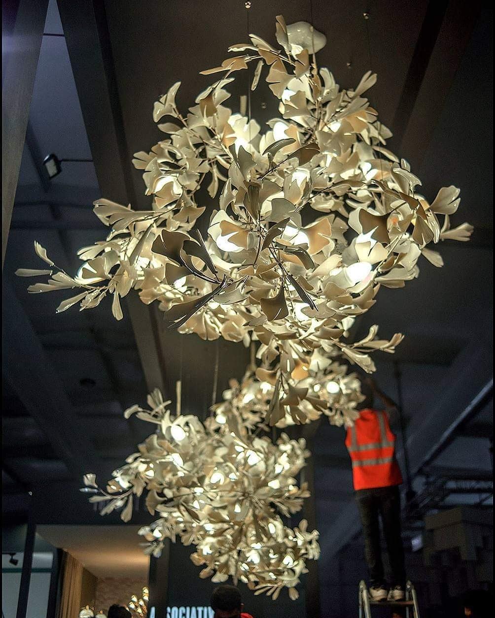 Gingko Combination Chandelier - Nuvé
