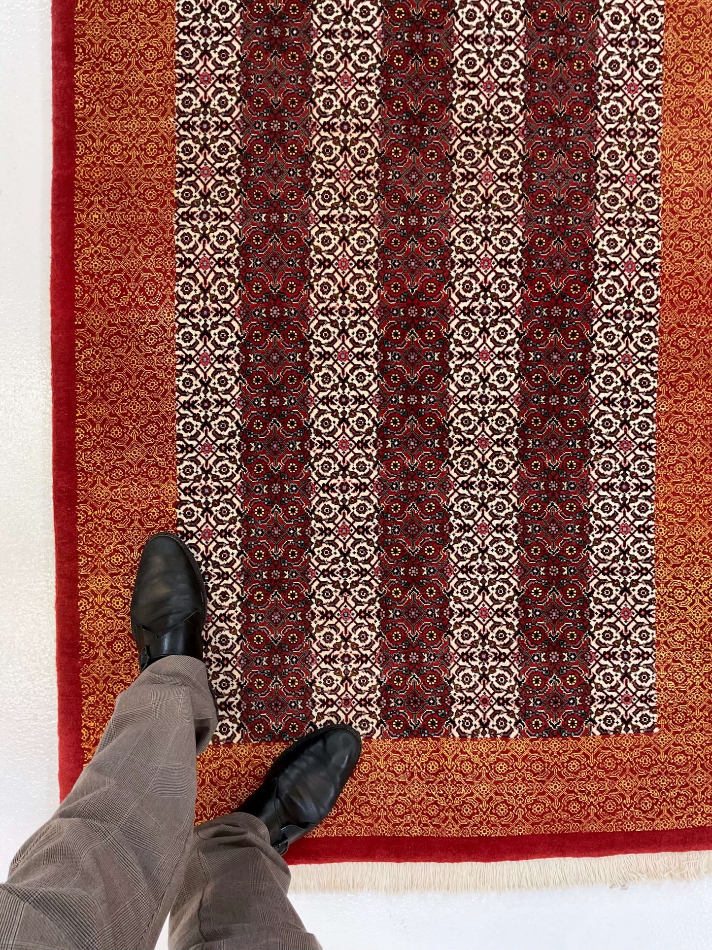 Persian Bijar Striped Herati Design (3'05"x5'01") rust/red/ivory - Nuvé