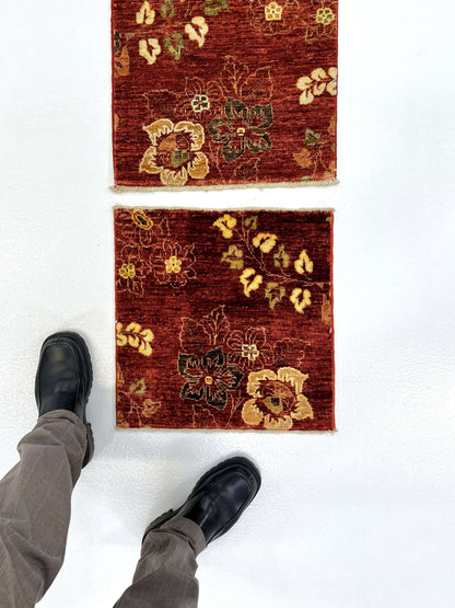 Vegetable-Dye with Silk Accents (18" square) rust - Nuvé