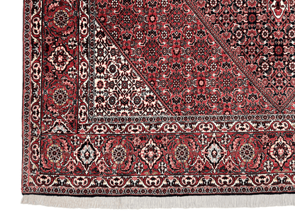 Persian Bijar (6'07"x9'05") red/indigo - Nuvé