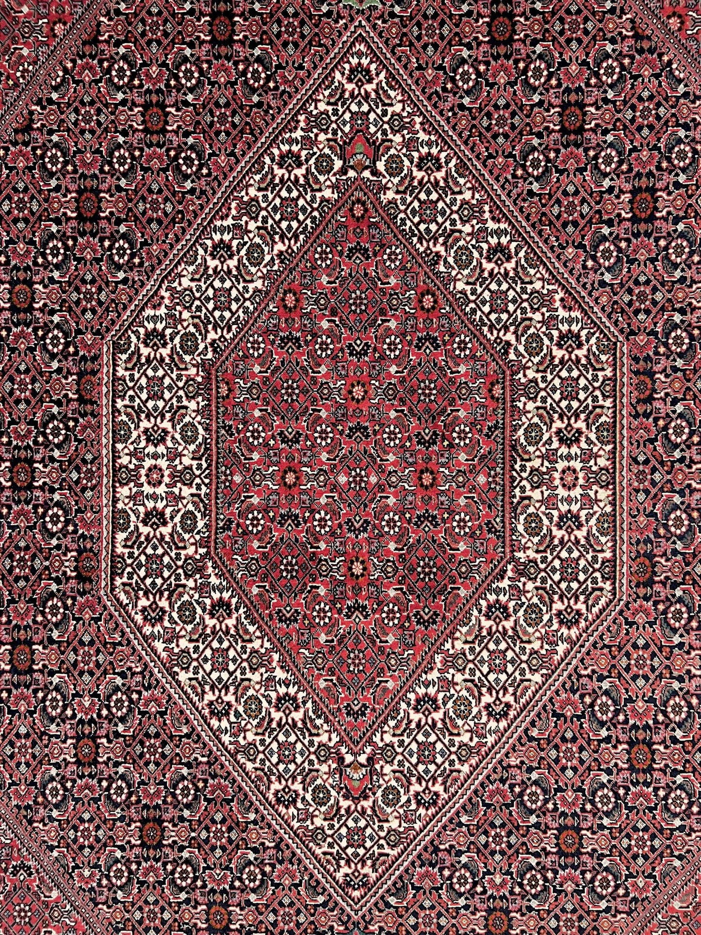 Persian Bijar (6'07"x9'05") red/indigo - Nuvé