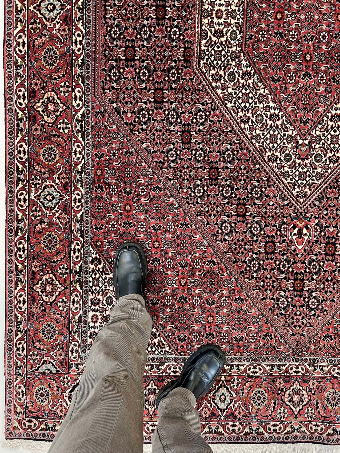 Persian Bijar (6'07"x9'05") red/indigo - Nuvé