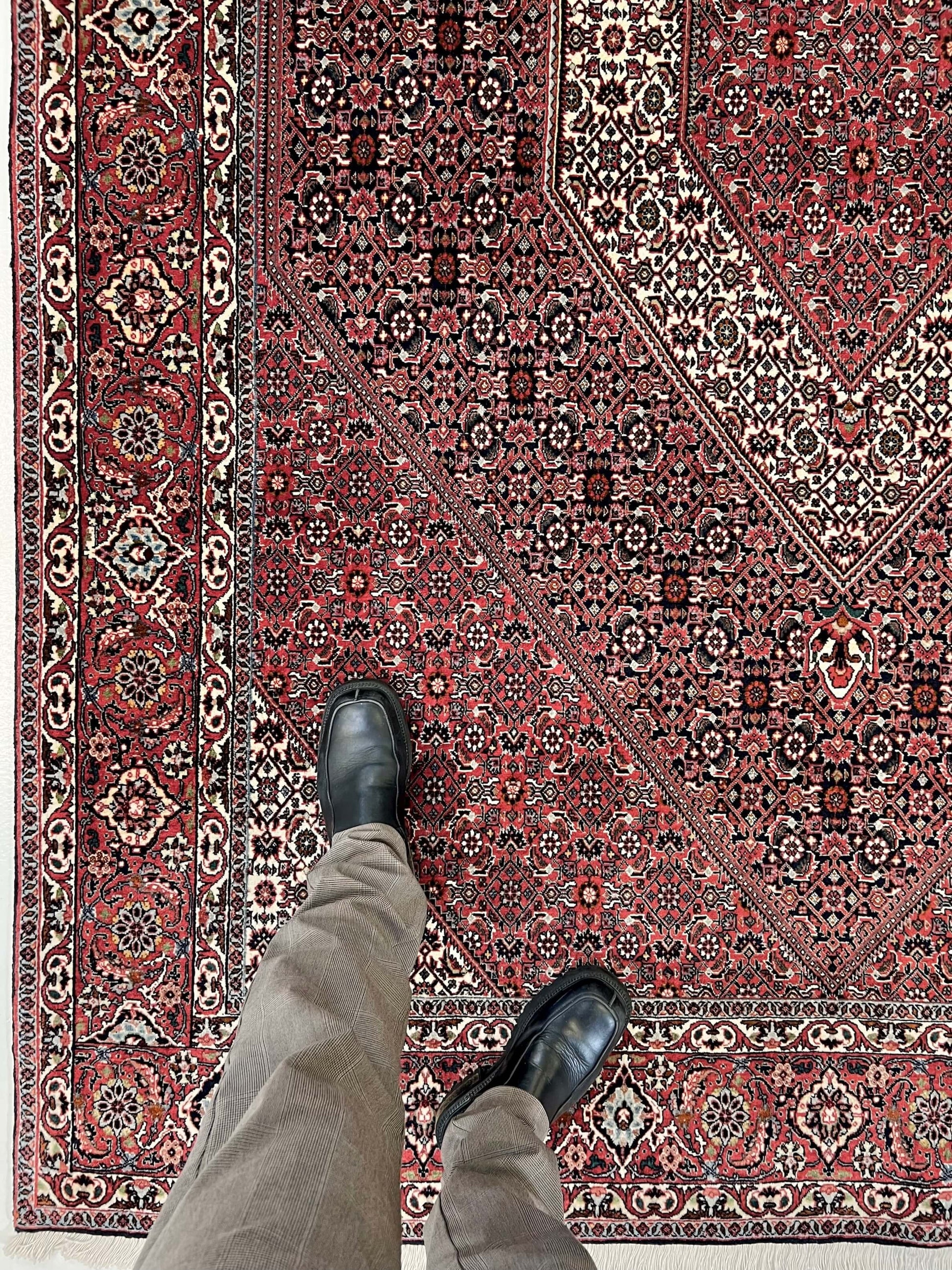 Persian Bijar (6'07"x9'05") red/indigo - Nuvé