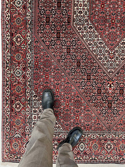 Persian Bijar (6'07"x9'05") red/indigo - Nuvé