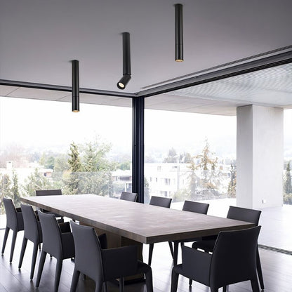 Jorah Ceiling Light