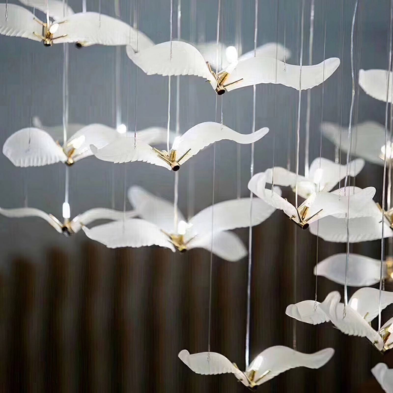 Large Seagull Chandelier - Nuvé