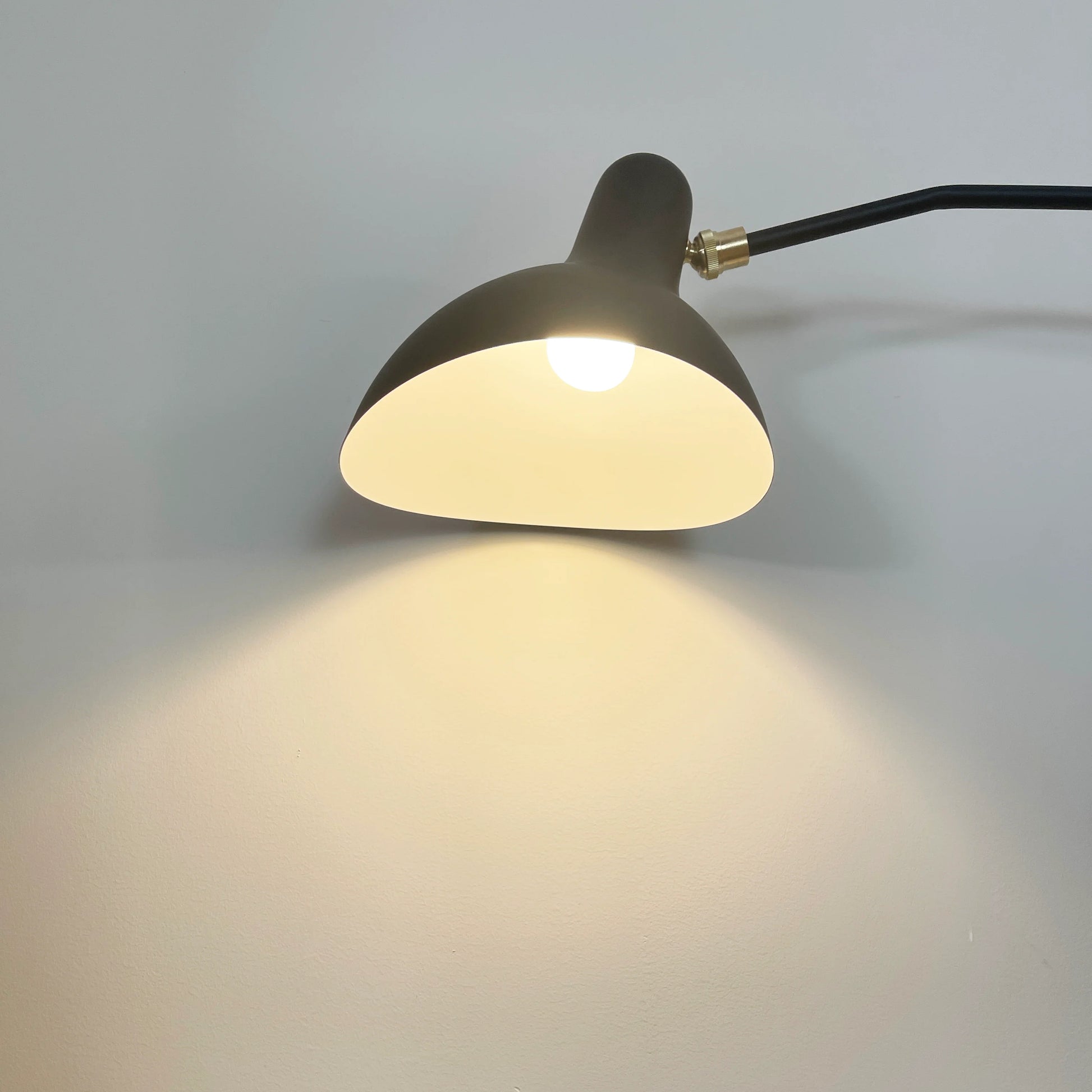Spiral Mantis Arm Wall Lamp - Nuvé