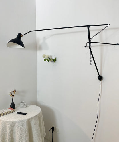 Spiral Mantis Arm Wall Lamp