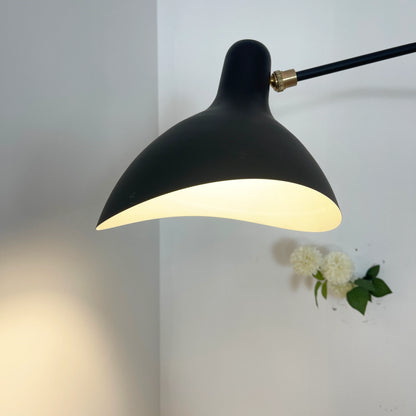 Spiral Mantis Arm Wall Lamp