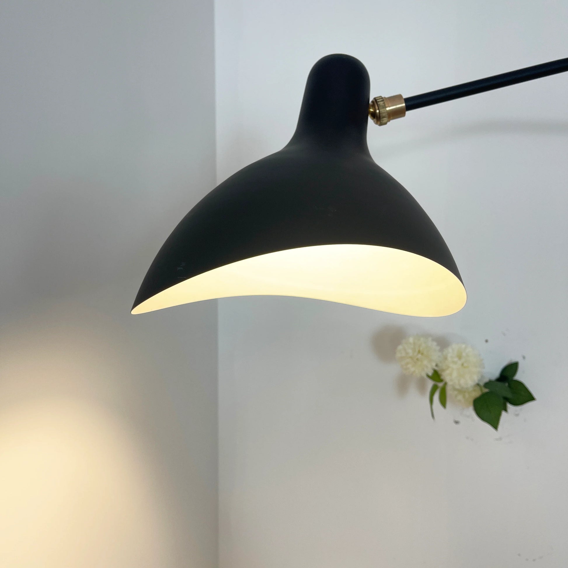 Spiral Mantis Arm Wall Lamp - Nuvé