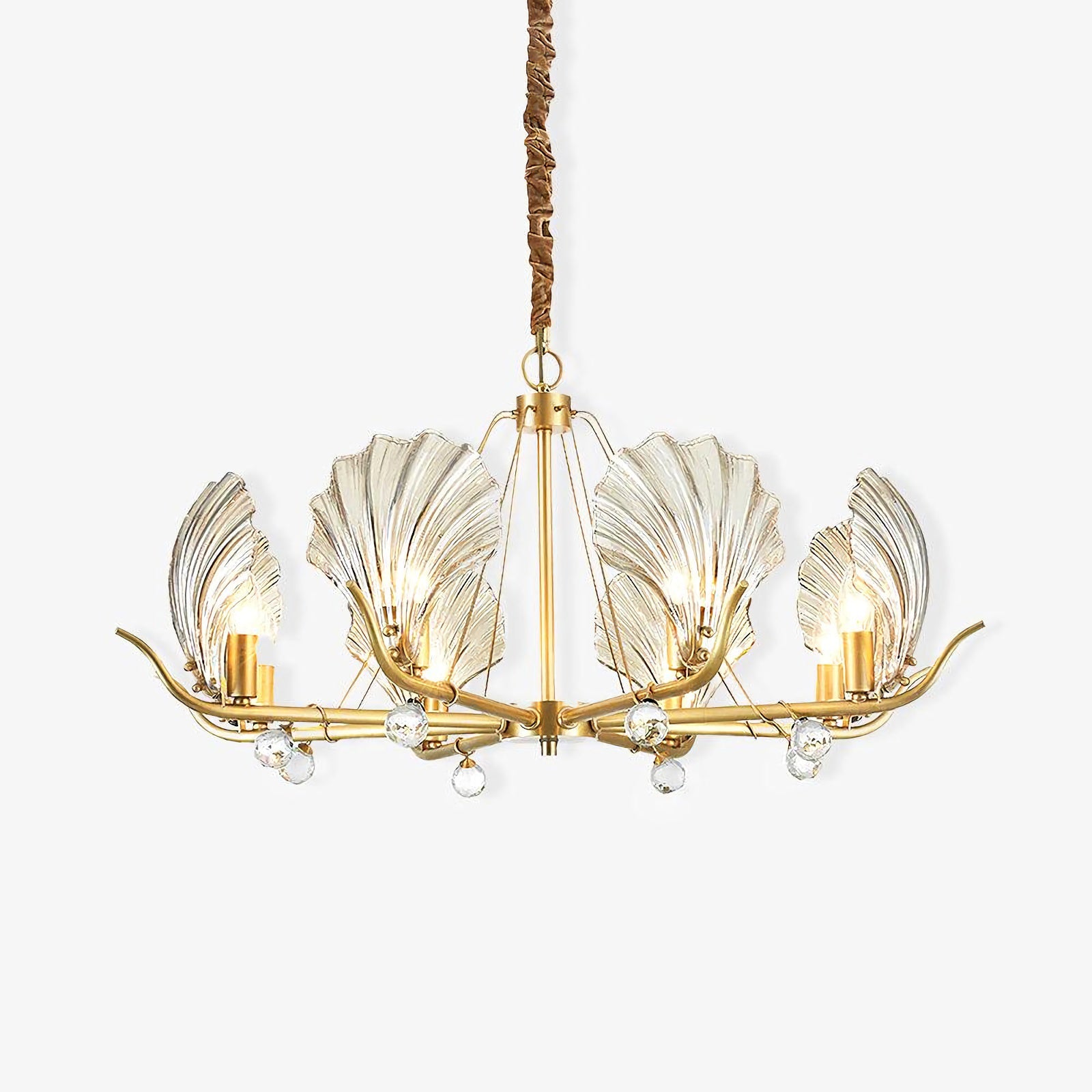 Modern Shell Glass Chandelier - Nuvé