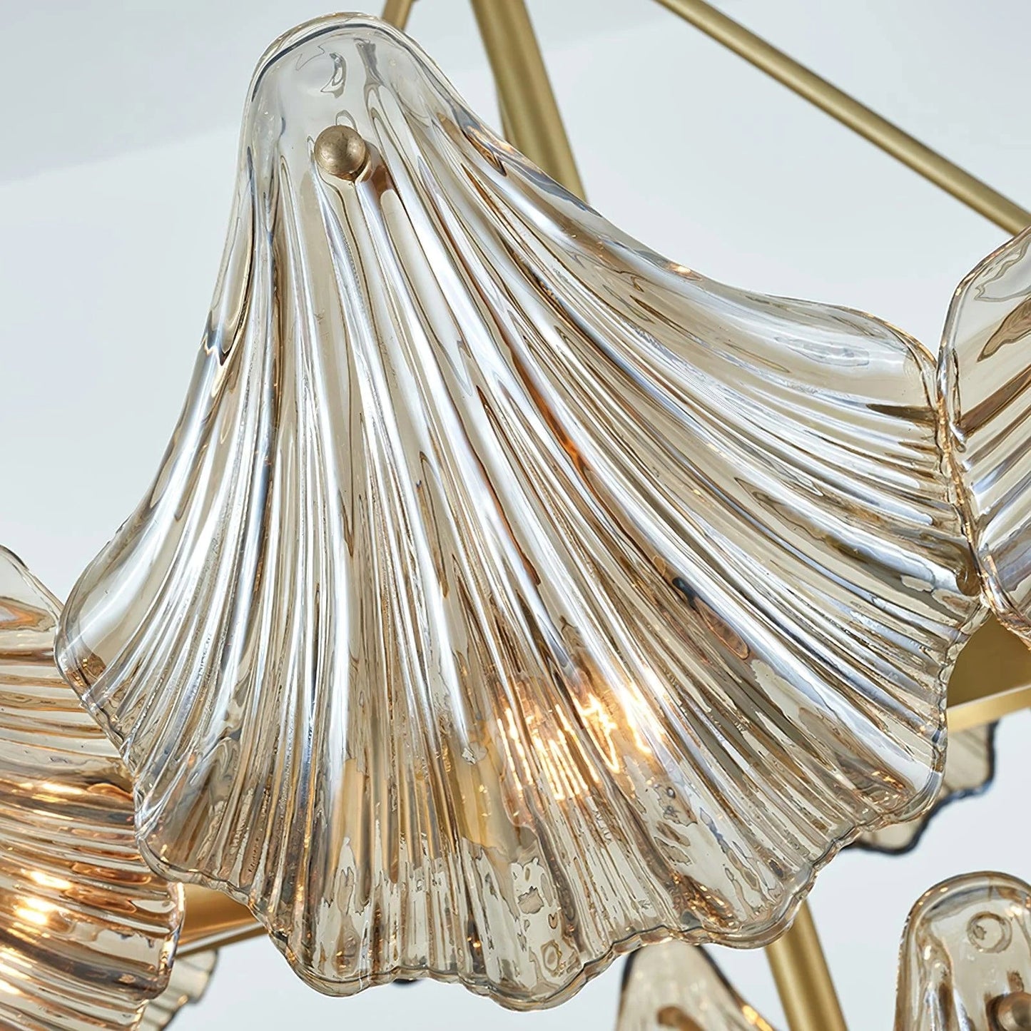 Modern Shell Glass Chandelier - Nuvé