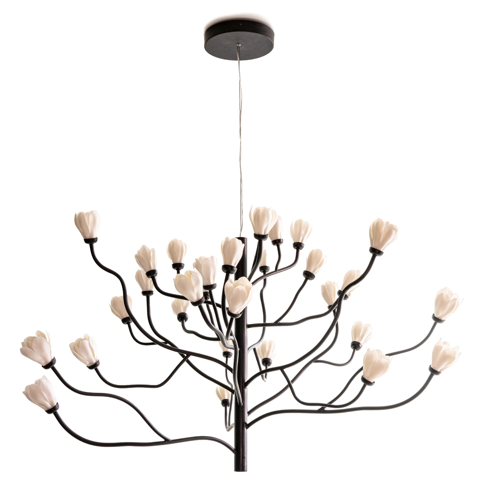 Mokuren Chandelier - Nuvé