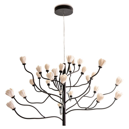 Mokuren Chandelier - Nuvé