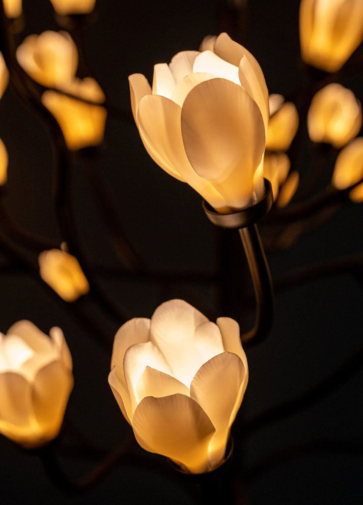 Mokuren Chandelier - Nuvé