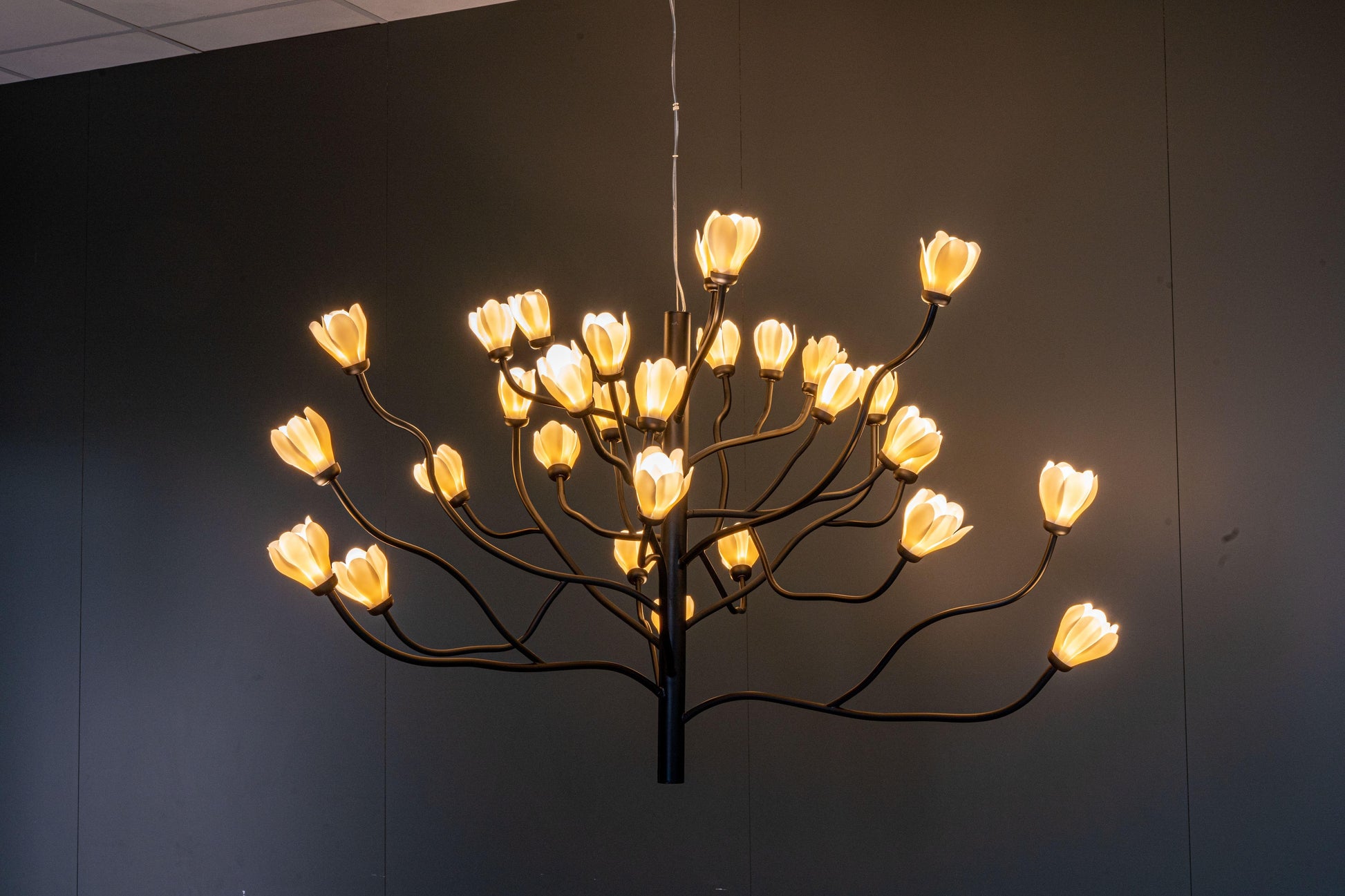 Mokuren Chandelier - Nuvé