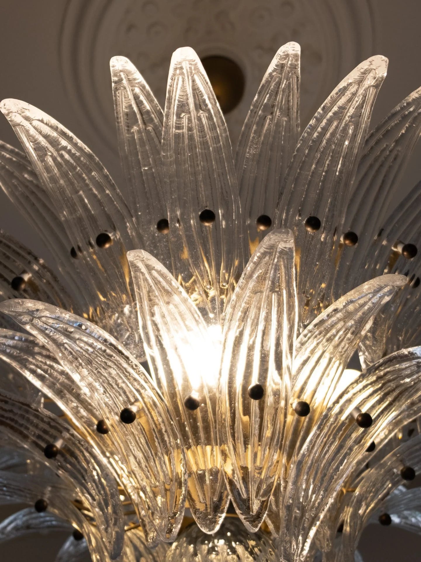 Murano Palmette Transparent Chandelier - Nuvé