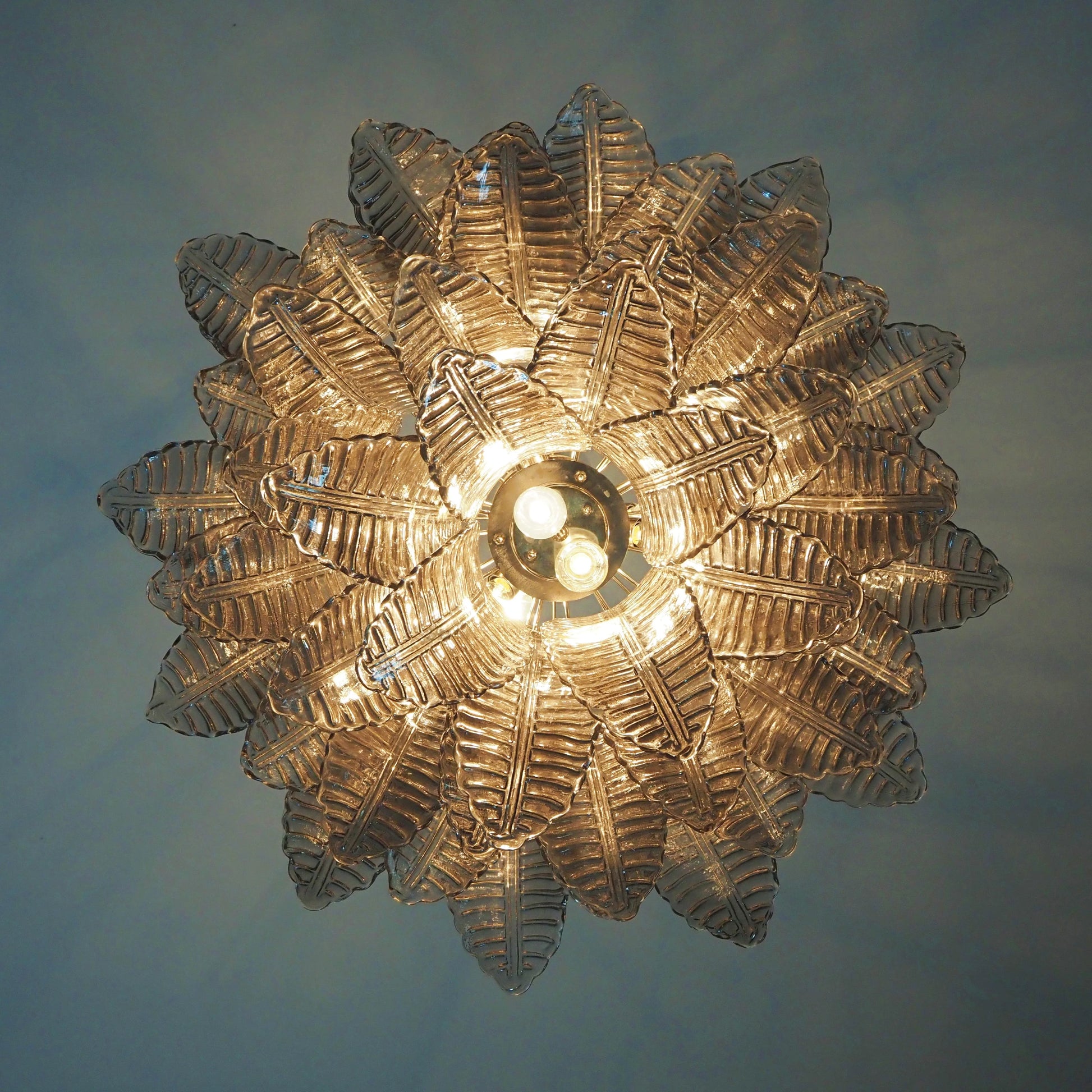 Murano Smoked Ferns Glass Chandelier - Nuvé
