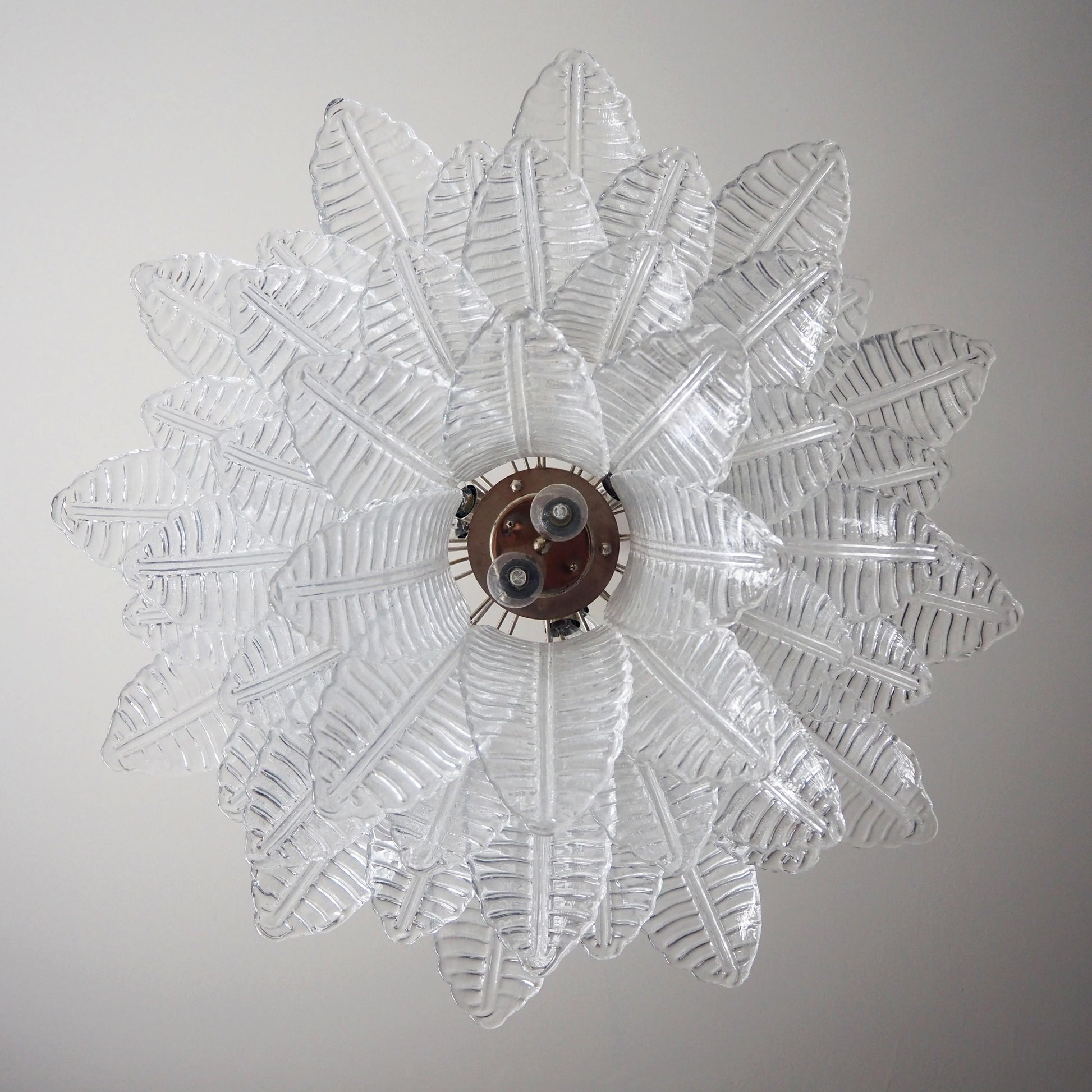 Murano Transparent Ferns Glass Chandelier - Nuvé