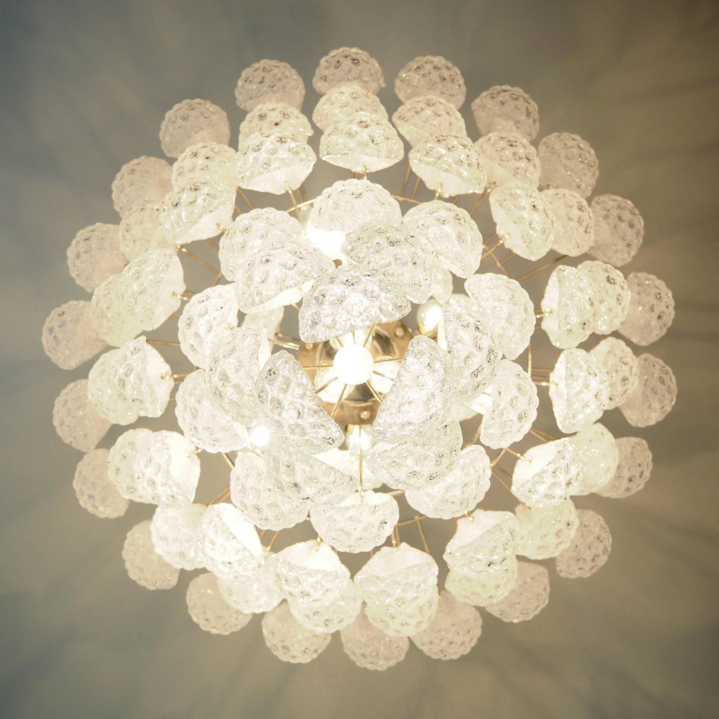 Murano Transparent Petals Glass Chandelier - Nuvé