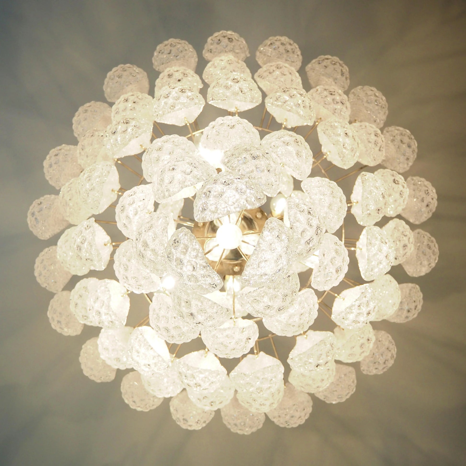Murano Transparent Petals Glass Chandelier - Nuvé