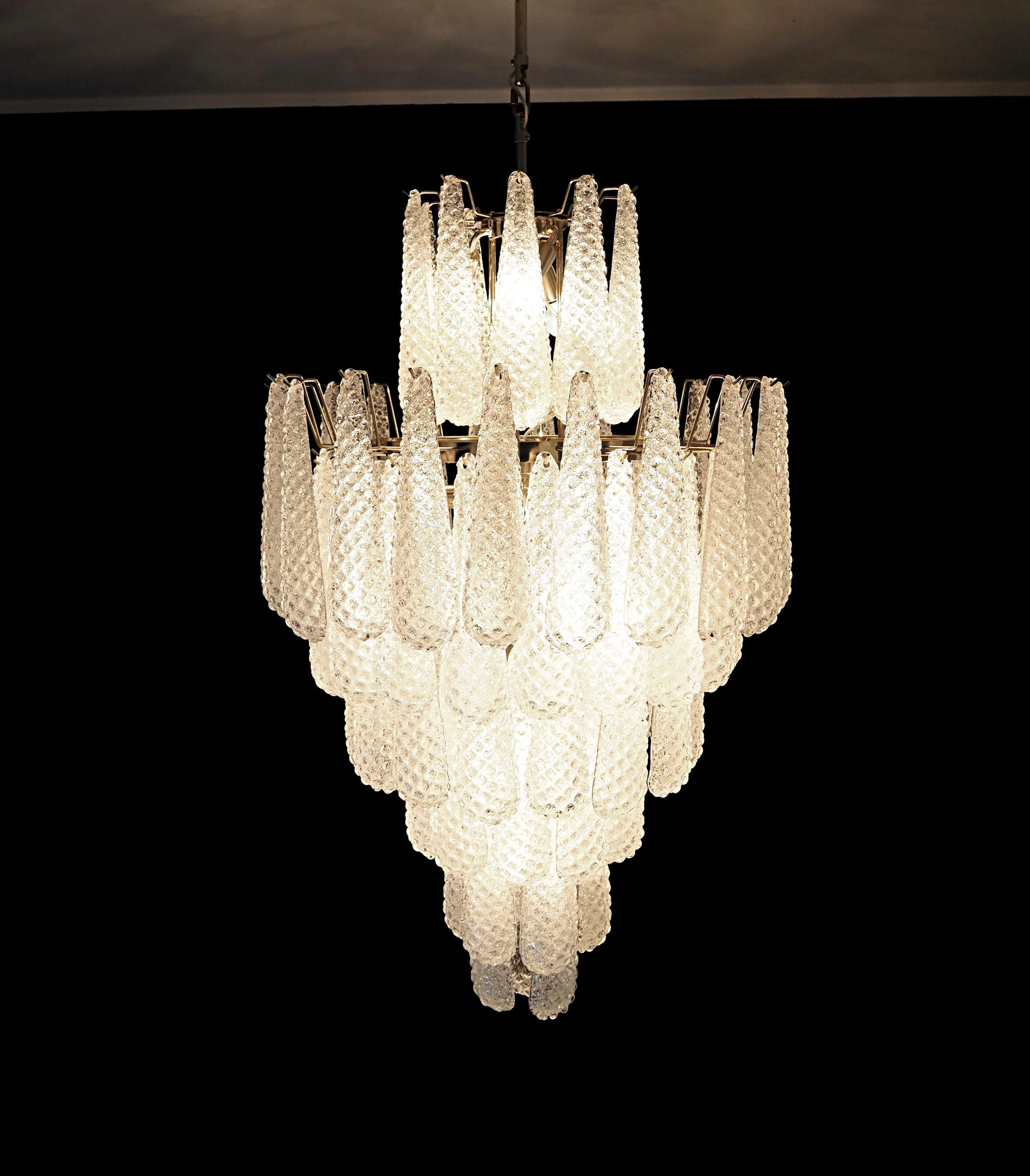 Murano Transparent Petals Glass Chandelier - Nuvé