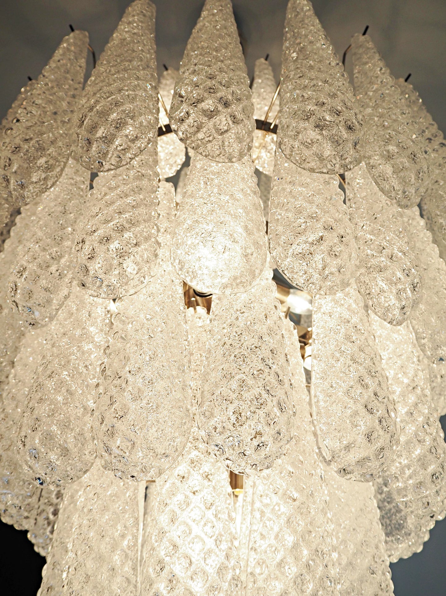 Murano Transparent Petals Glass Chandelier - Nuvé