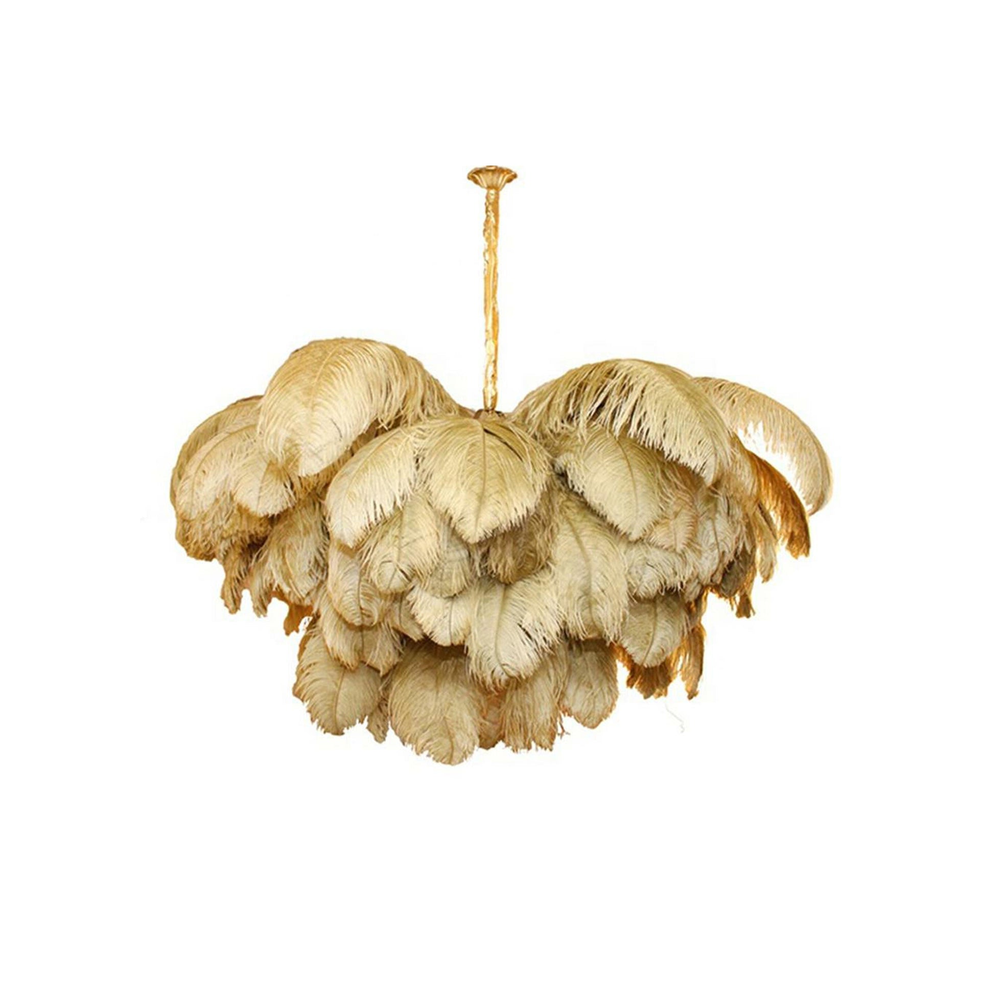 Ostrich Feather Chandeliers - Nuvé