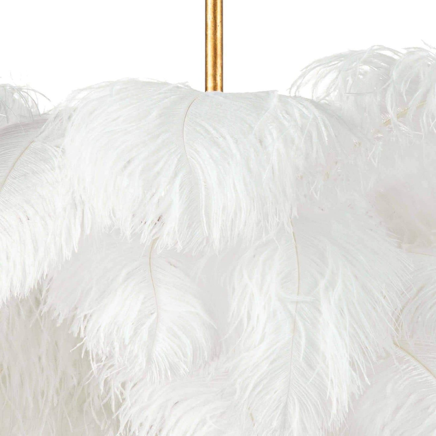 Ostrich Feather Chandeliers - Nuvé