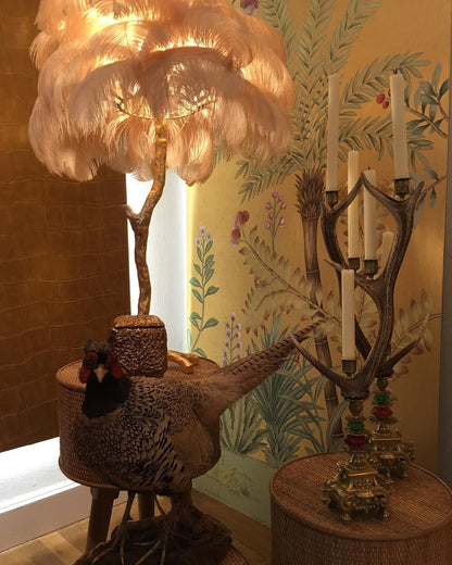 Ostrich Feather Floor Lamp - Nuvé