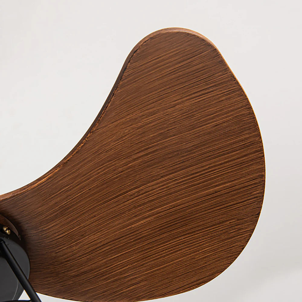 Oxton Simple Ceiling Fan Lamp - Nuvé