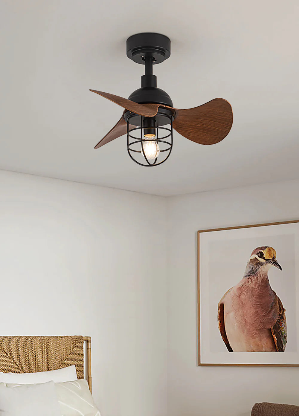 Oxton Simple Ceiling Fan Lamp - Nuvé