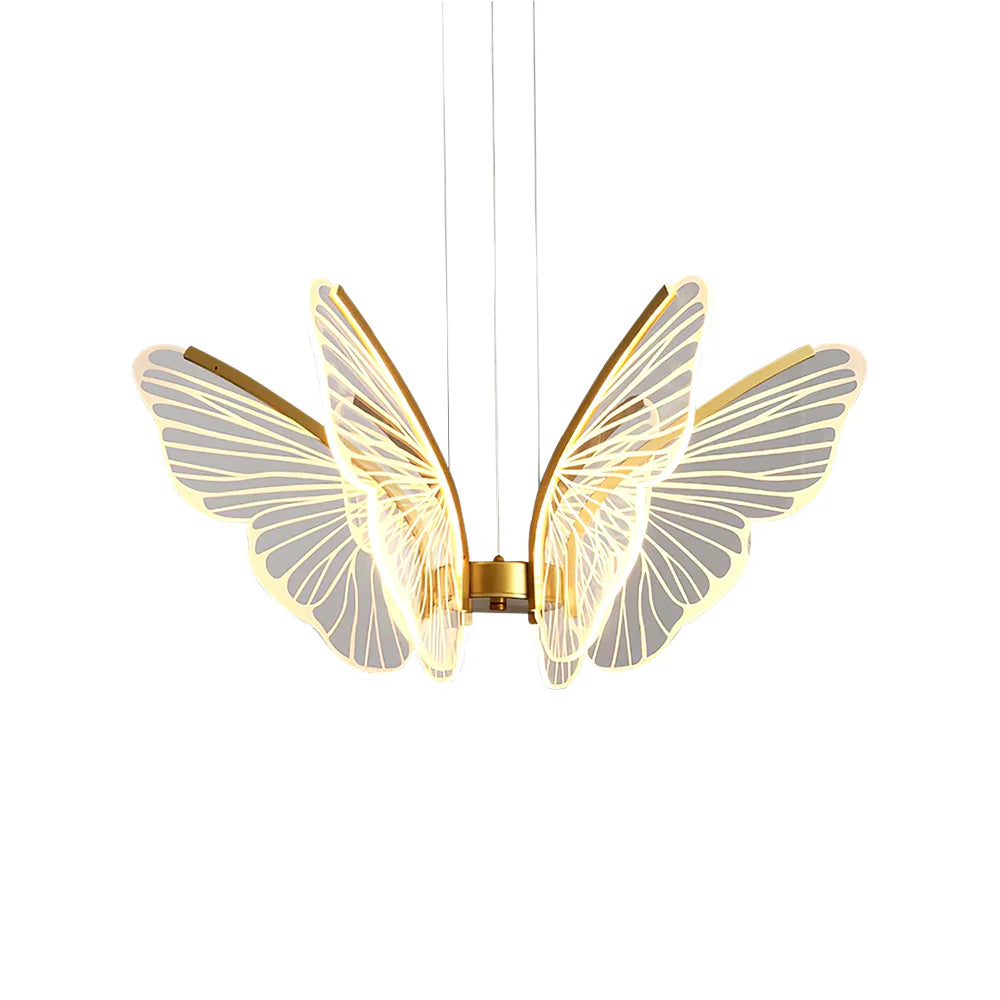 Phalaenopsis Chandelier - Nuvé