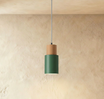 Green Nouveau pendant light by Residence Supply hanging from a ceiling fixture with a modern, stylish design.