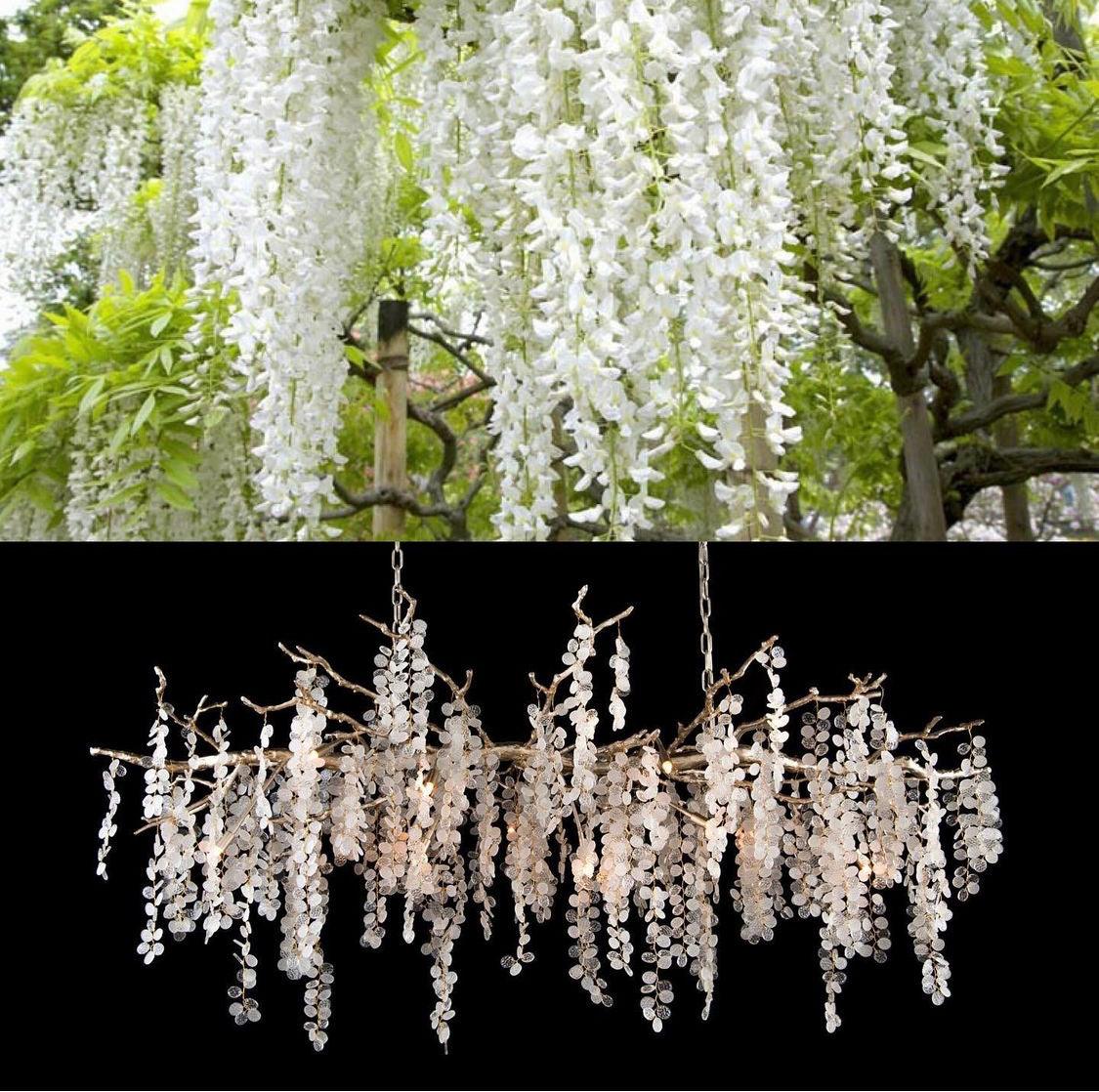 Shiro Noda Crystal Chandelier - Nuvé