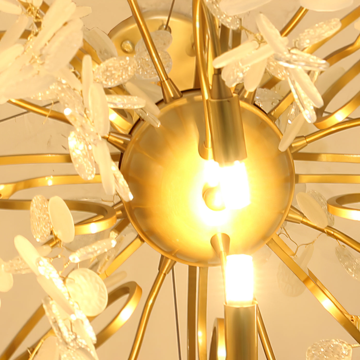 Shiro Noda Round Chandelier - Nuvé