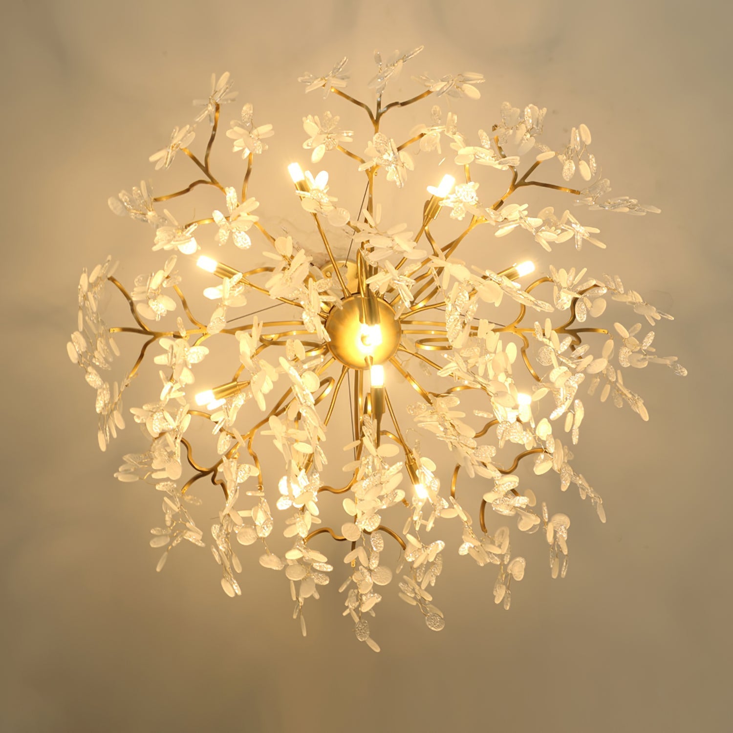 Shiro Noda Round Chandelier - Nuvé