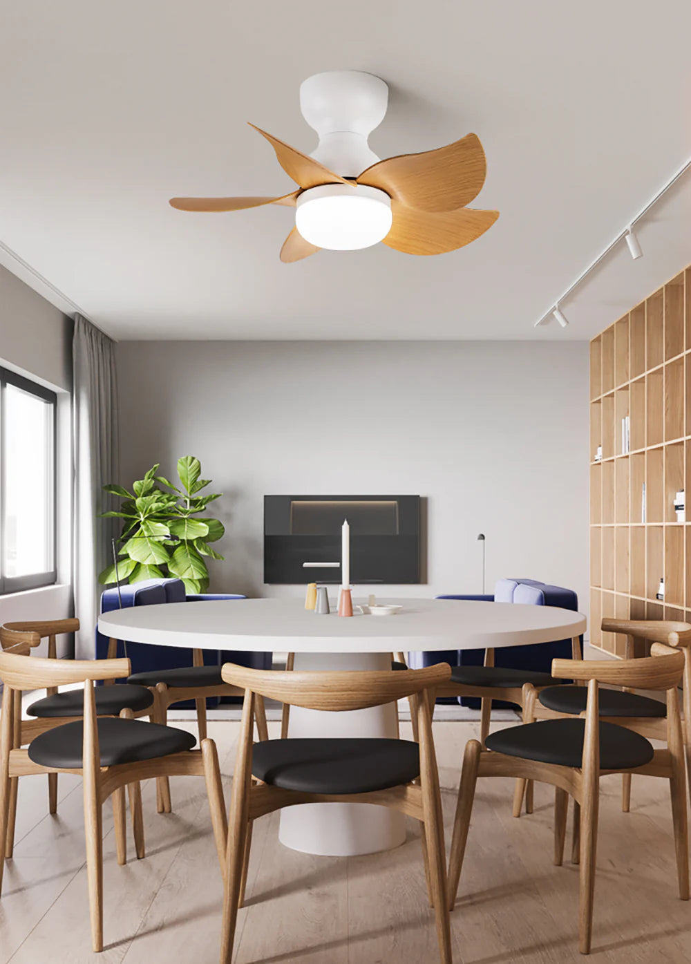 Small 5 Blades Ceiling Fan Lamp - Nuvé