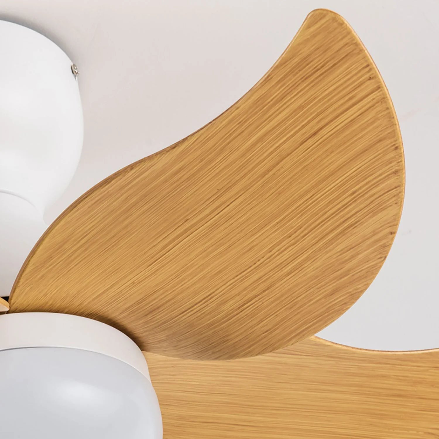 Small 5 Blades Ceiling Fan Lamp - Nuvé