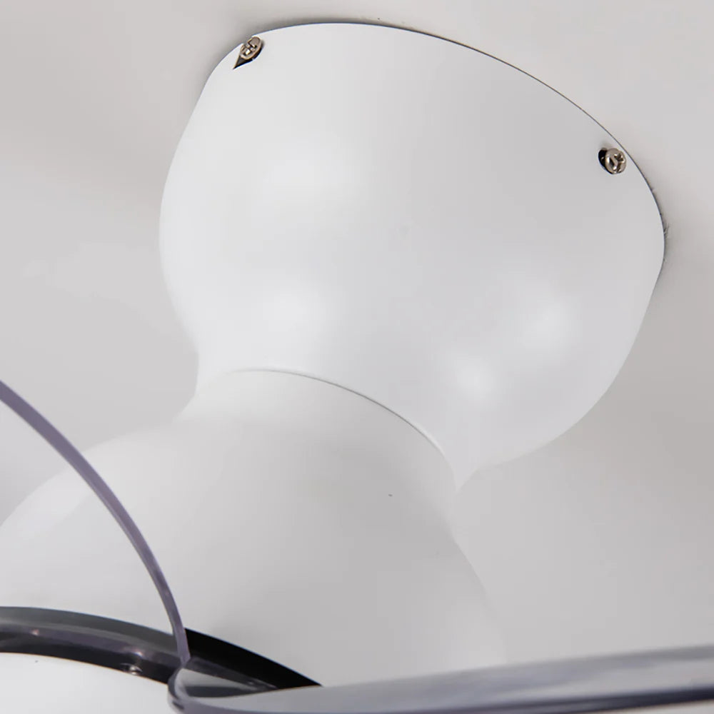 Small 5 Blades Ceiling Fan Lamp - Nuvé