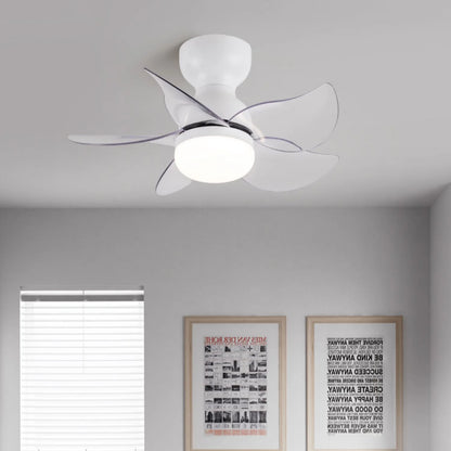 Small 5 Blades Ceiling Fan Lamp - Nuvé